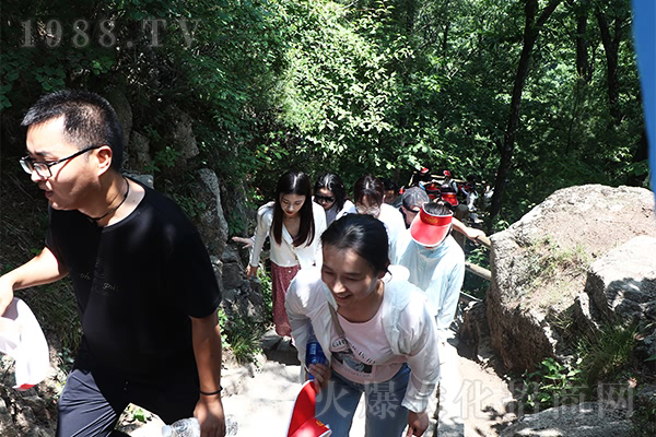 以道御術(shù),大道至簡