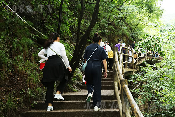 �](m��i)�е����˵�ɽ�