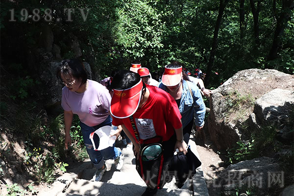 追夢谷中藏“仙境”,老君山上尋“真理”