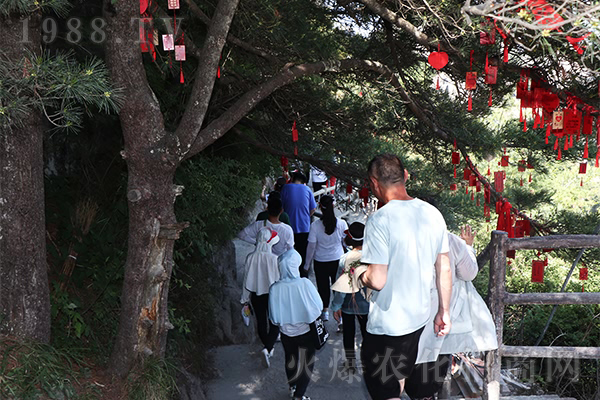 老子《道德經》:悟道,反思不足,正確做事