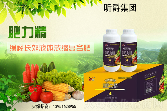 ���؃r��С���ϝq��2021��6��24�ո������؃r������һ�[