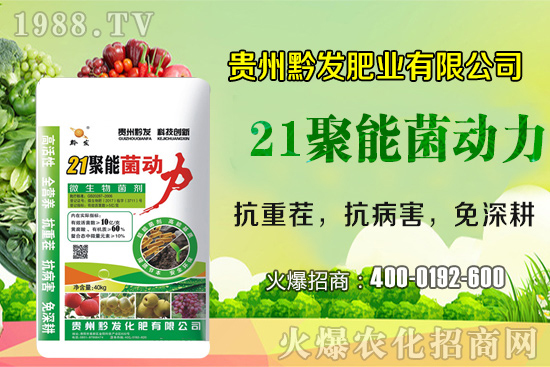 ǭ�l(f��)�ʘI(y��)�ٶȔy��1988.TV���y�ִ����������E��