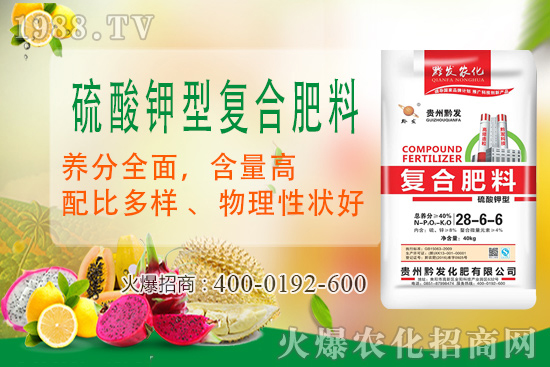 ǭ�l(f��)�ʘI(y��)�ٶȔy��1988.TV���y�ִ����������E��