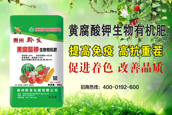 ǭ�l(f��)�ʘI(y��)�ٶȔy��1988.TV���y�ִ����������E��