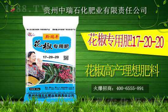     ����ʯ���ʘI(y��)�𱬁�(l��i)�u���ٺ����r(n��ng)�����̾W(w��ng)���_(k��i)��(chu��ng)���x����