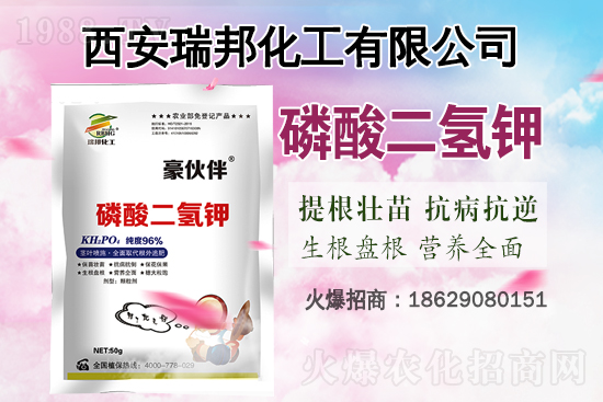 �Ȼ�⛸߃r(ji��)�\(y��n)����2021.6.29⛷ʃr(ji��)�������Ո�(b��o)