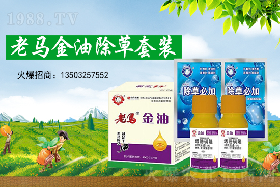 2021��7��13�ճ��݄�ԭˎ�r������