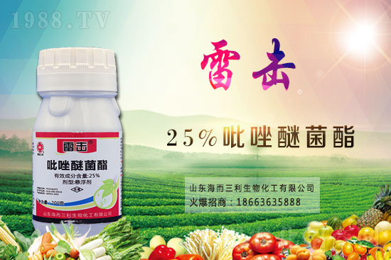 ���z�䚢�����r������2021��7��15��