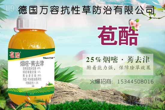 �S�׻�¡���݄��r���߄�2021.07.16