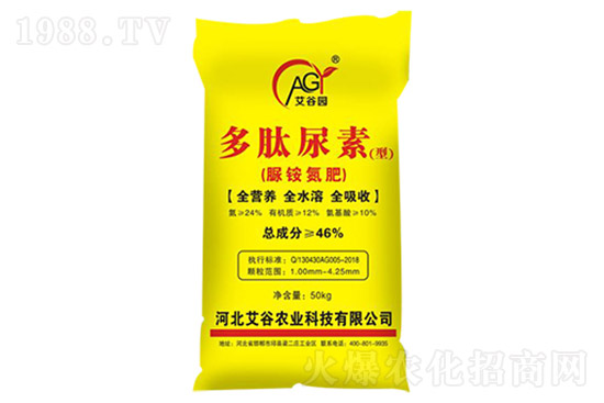 ���؃r���B�m(x��)�ϝq�����؅^(q��)���؃r���Ո�7��17�գ�