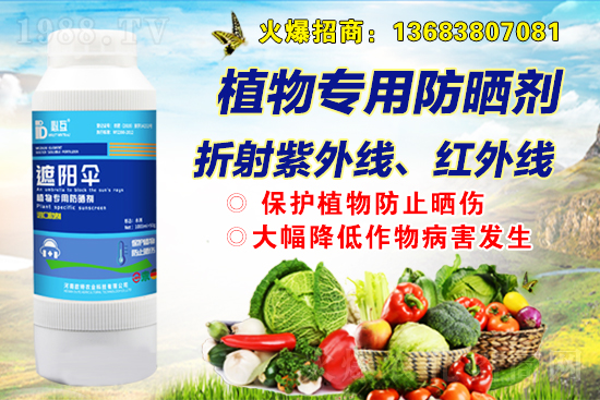  �W���r(n��ng)�I(y��)�m(x��)�s1988.TV���y�ֹ���(chu��ng)���x����