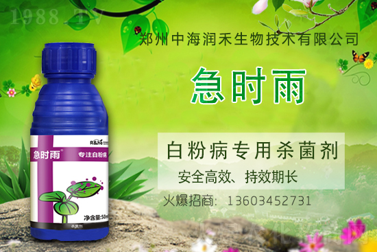     �к������ٺ����r(n��ng)�����̾W(w��ng)�����M��(zh��n)�Ժ�����������