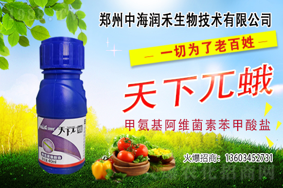     �к������ٺ����r(n��ng)�����̾W(w��ng)�����M��(zh��n)�Ժ�����������