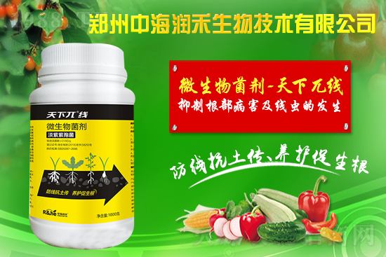     �к������ٺ����r(n��ng)�����̾W(w��ng)�����M��(zh��n)�Ժ�����������