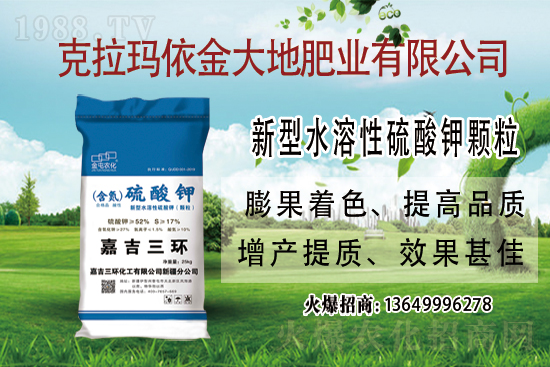 2021-7-24����(n��i)⛷ʃr��������