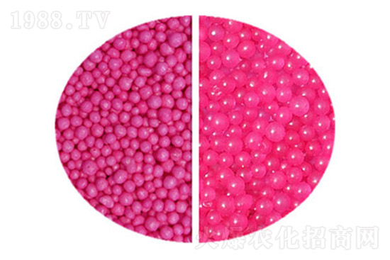 2021��7��24�ո������س��S(ch��ng)��(b��o)�r(ji��)����