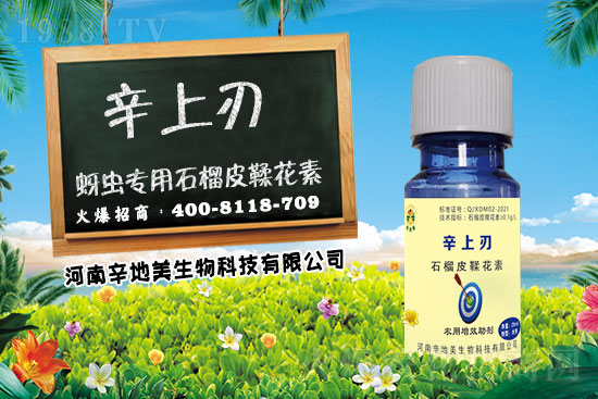 �������x