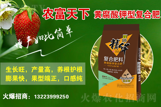 ���ϱ���靳��(z��i)���鼰���a(ch��n)�֏�(f��)���g(sh��)ָ��(d��o)��Ҋ(ji��n)