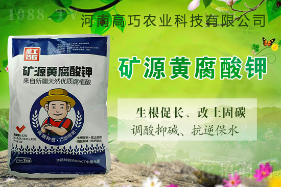  ϲ��(b��o)��1988.TVϲӭ�������������r(n��ng)�I(y��)��(qi��ng)��(sh��)���u��