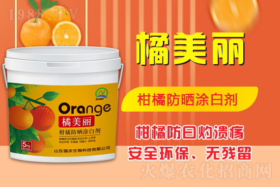 ���\(ch��ng)���������Aδ��(l��i)��ɽ�|��(qi��ng)�r(n��ng)�����ٺ�1988.TV���ل�(chu��ng)���x����