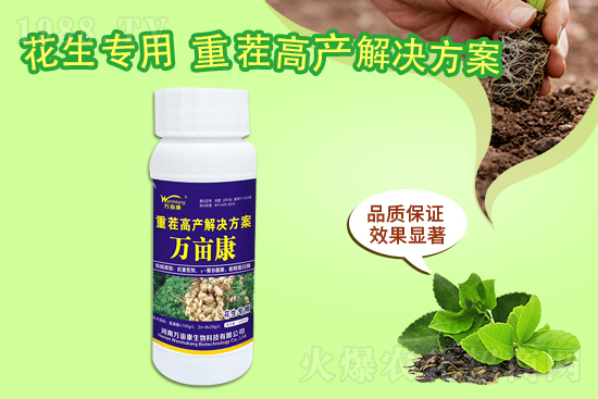 ���@����(w��n)������20219��10�����@�r(ji��)�������(b��o)�r(ji��)