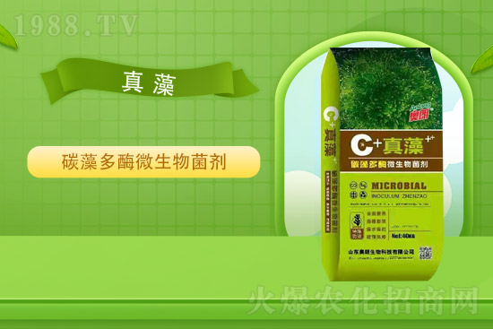 �Ȼ�⛃r��ƽ��(w��n)��2021��9��2�Շ���(n��i)⛷ʃr���߄�