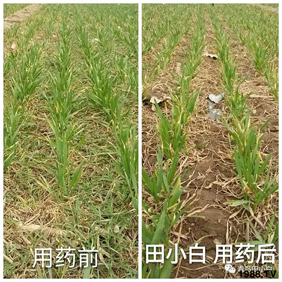 С���s�ݣ���(ji��)��(ji��)�����E�ɞ�(z��i)����ô�k��С�����݄���ô�x