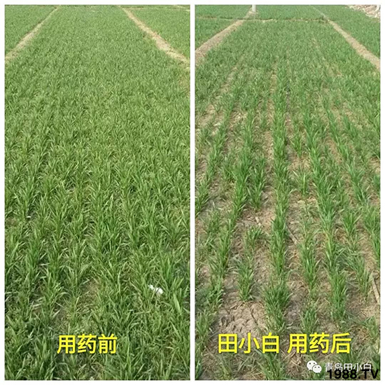 С���s�ݣ���(ji��)��(ji��)�����E�ɞ�(z��i)����ô�k��С�����݄���ô�x