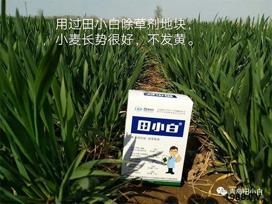 С���s������(ji��)��(ji��)�����E�ɞ�(z��i)����ô�k��С�����݄���ô�x