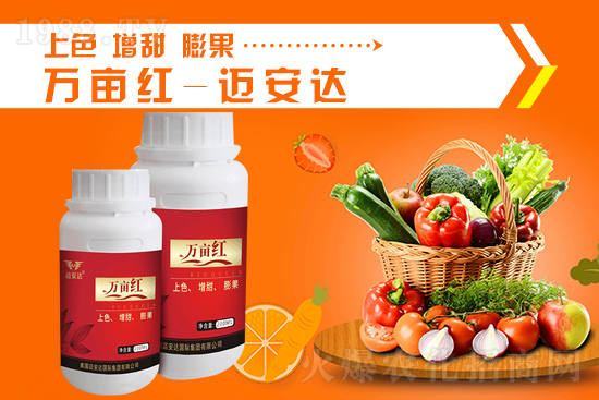 2021��9��24�Շ�(gu��)��(n��i)⛷ʃr(ji��)�������߄�(sh��)