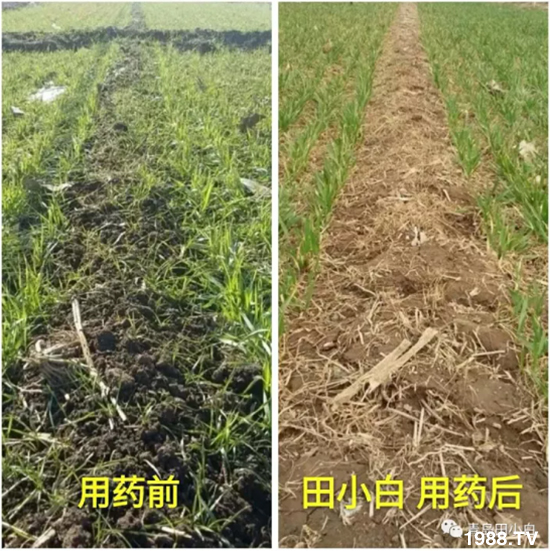 ��(ji��)��(ji��)��Σ��������ô����ʲôˎ��Ч������