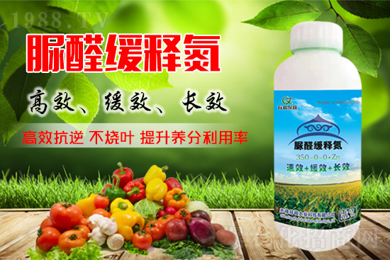 ���؃r���߄���2021��9��4�ձ������؃r�������܈�