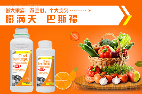 ���@����(y��ng)������2021��9��6�Շ�(gu��)��(n��i)���@�r(ji��)������