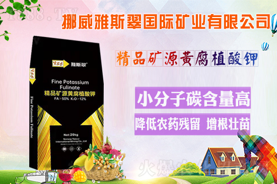 ��Ų����˹�䡿ף�V��(j��ng)�N��2022�껢������H�Қg��������(ji��)�옷��