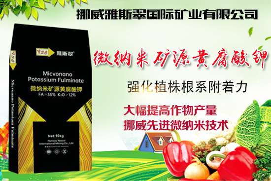 ��Ų����˹�䡿ף�V��(j��ng)�N��2022�껢��󼪣��H�Қg��������(ji��)�옷��