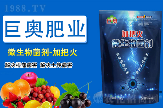 ���ފW�ʘI(y��)��ף������µ�һ�껢��������Ц�ڳ��_��ؔ(c��i)Դ�V�M(j��n)��