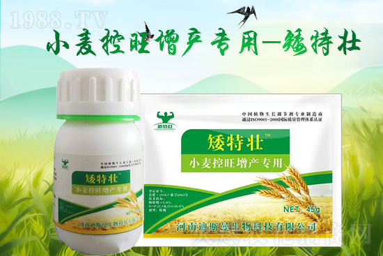 ����˹�����o��Ұ�������ף���2022�껢������H�Қg��(l��)������(ji��)�옷(l��)��