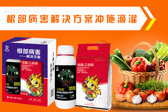 ����˹�����o��Ұ�������ף���2022�껢������H�Қg��(l��)������(ji��)�옷(l��)��