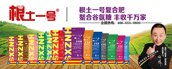 谷氨糖復合肥料