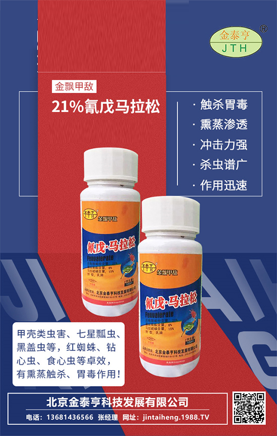 ��������̩�ࡿף�V�����т�ؔ(c��i)�\(y��n)�L�L������옷������󼪣�