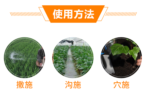 �ό����A���r(n��ng)�I(y��)�Ƽ�����؟(z��)�ι�˾1_06