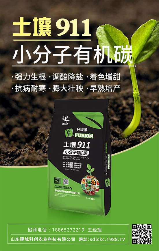 ɽ�|�ĳǿƄ�(chu��ng)�ٺ�1988.TV�����\�������p�A��