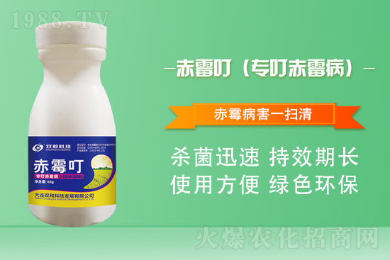 ����������(j��)�����B�p�ͿƼ��ٺ�1988.TV������(chu��ng)���x����