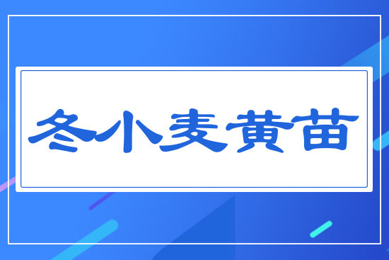 ��С���S��