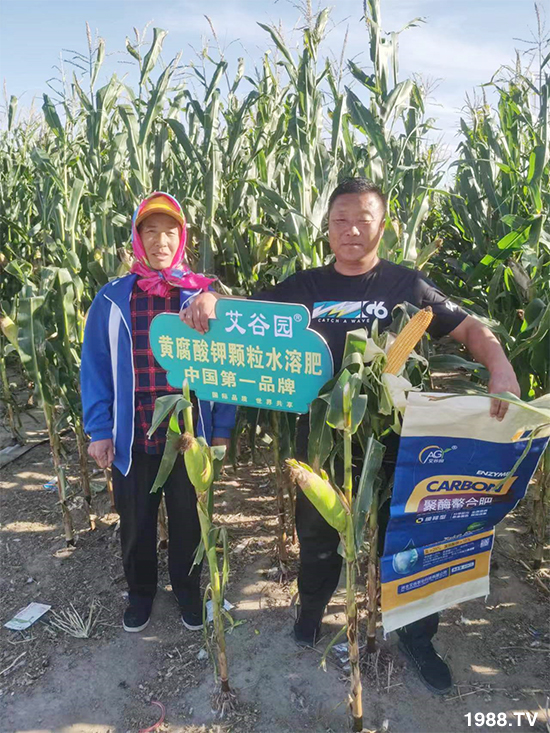 �ӱ������r�I(y��)�Ƽ����޹�˾2