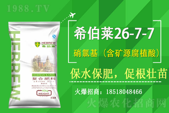 �ͺϷʃr����������ՏͺϷʃr��2��17��