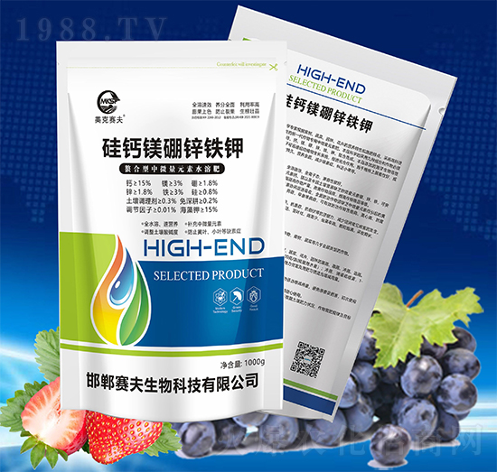 ���}�V���\�F�-����ِ��1