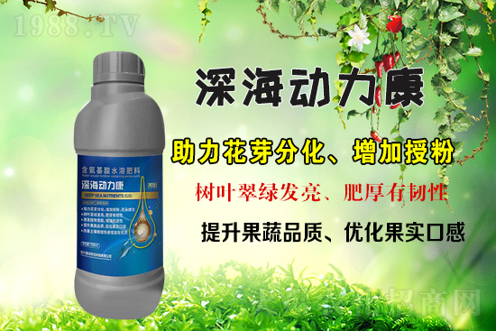 ���r(n��ng)���W(w��ng)ϲӭ�������������r(n��ng)�����s���v1988.TV��