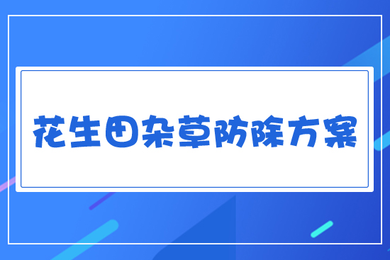 �����s�ݷ���