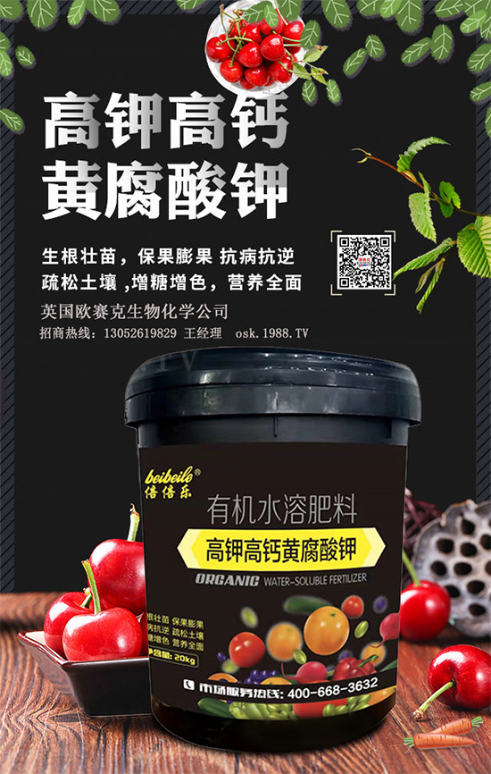 һ���S�����=�����������������ЙC(j��)�����S����⛞�����������